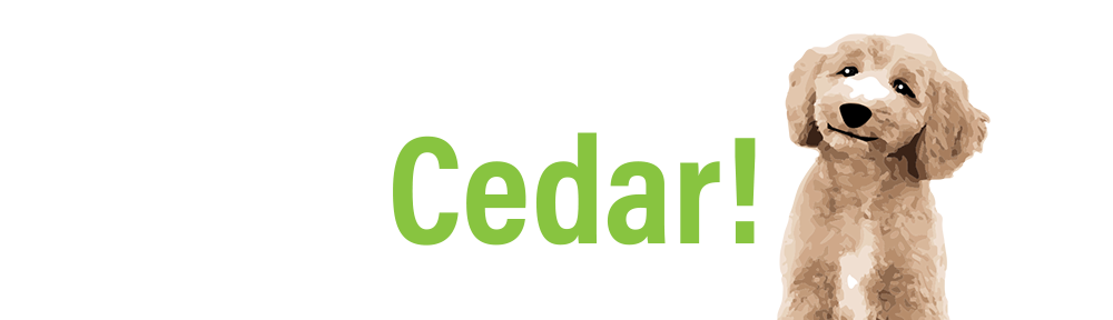 conquest graphics mascot - cedar