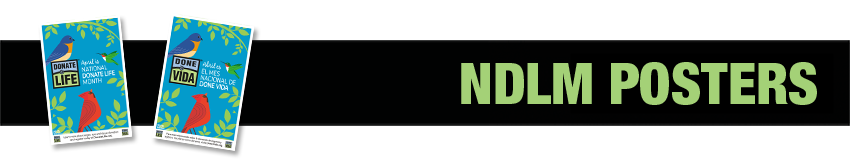 DLA-2025-NDLM-Poster-Header